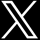 x icon
